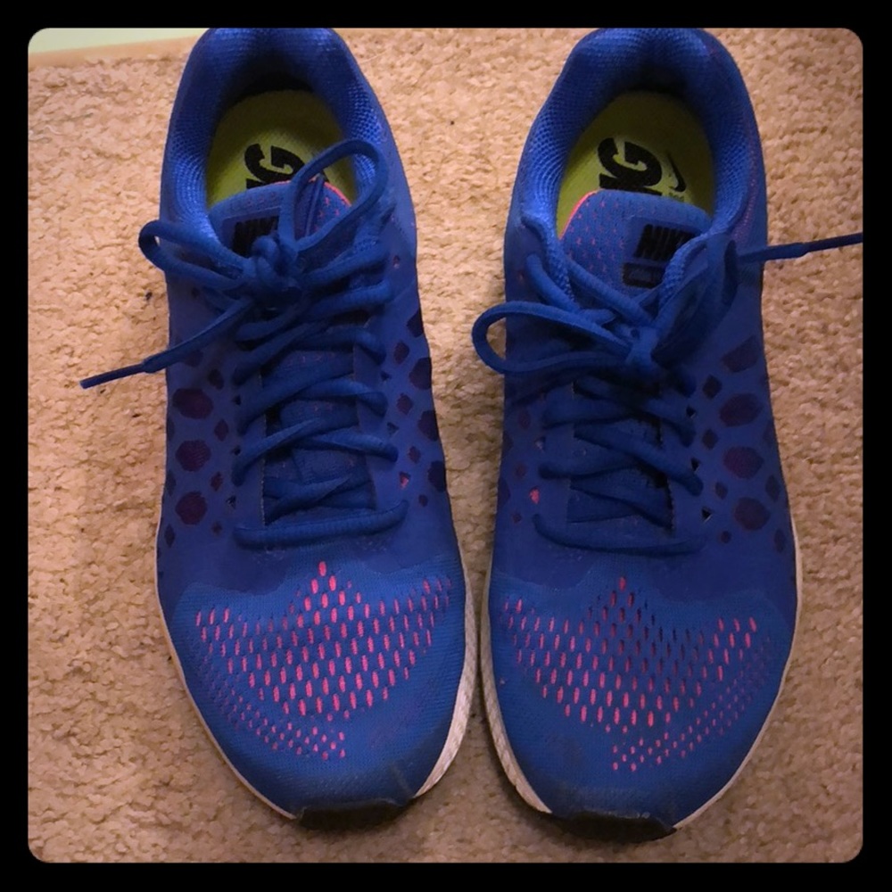 Nike Zoom Pegasus 31